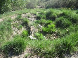 Túmulo Gazteluko Landa   (Abril 2014)