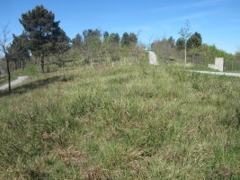 Túmulo Hirumugarrieta 2  (Abril 2014)