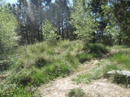 Túmulo Hirumugarrieta 3  (Abril 2014)