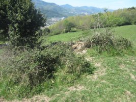 Túmulo Axpuru 1   (Abril 2014)