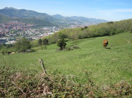 Túmulo Axpuru 1   (Abril 2014)