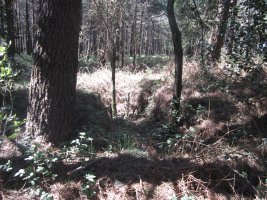 Túmulo Larrazabal  (Abril 2014)