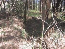 Túmulo Larrazabal  (Abril 2014)