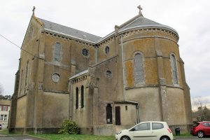 Notre Dame eliza, Bokale