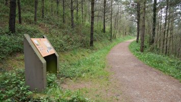 Mutiloako Meatze Trenbidea