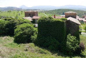 Olloki jauregia, Olloki