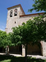 Santo Tomas eliza, Ollo