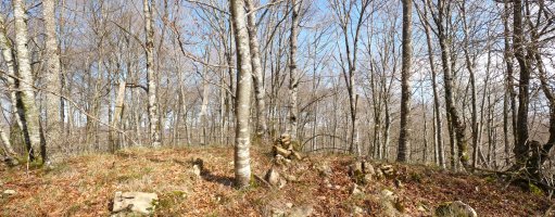 Otsopasajeko gailurra