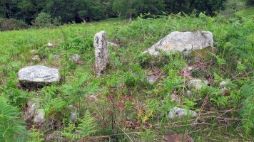 Faageko Erreka Trikuharria, Sara