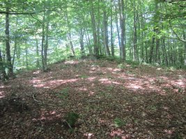 Dólmen Intxuspe 1 Ipar   (Junio 2014)