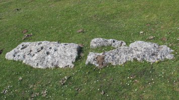 Las Campanas zutarria, Urbasa