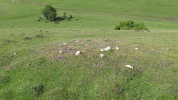 Raso Urbasa 1 tumulua, Urbasa