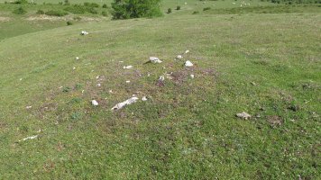 Raso Urbasa 1 tumulua, Urbasa