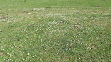 Raso Urbasa tumulua 2, Urbasa