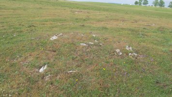 Raso Urbasa (planos) tumulu 1, Urbasa