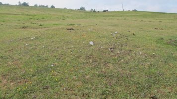 Raso Urbasa (planos) tumulu 5, Urbasa