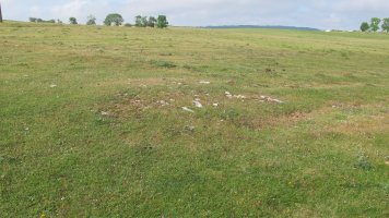 Raso Urbasa (planos) tumulu 7, Urbasa