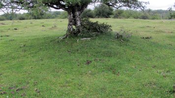 Pedrotxiki hego tumulu 2, Urbasa