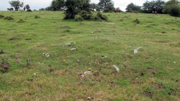 Pedrotxiki ipar tumulu 1, Urbasa