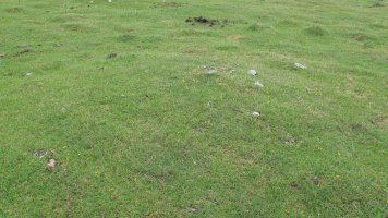 Pedrotxiki ipar tumulu 4, Urbasa