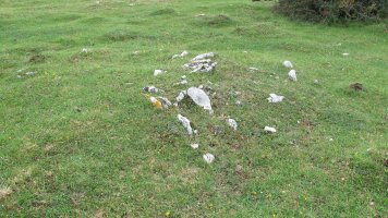 Pedrotxiki ipar tumulu 5, Urbasa