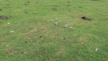 Pedrotxiki ipar tumulu 7, Urbasa