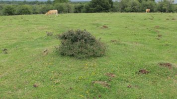 Pedrotxiki ipar tumulu 9, Urbasa