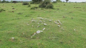 Pedrotxiki ipar tumulu 10, Urbasa