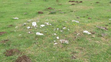 Pedrotxiki ipar tumulu 13, Urbasa