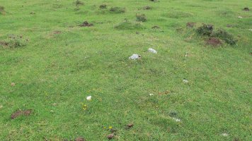 Pedrotxiki ipar tumulu 15, Urbasa