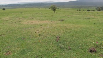 Raso Urbasa 16 tumulua, Urbasa