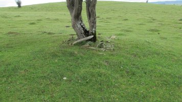 Camino de Arratondo ipar tumulu 4, Urbasa