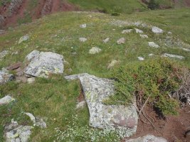 barranco barcal trikuharria