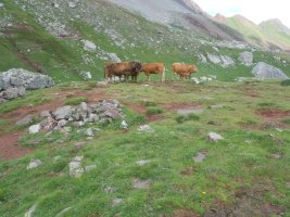 barranco barcal alto oeste