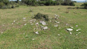 Andasarri tumulua, Limitaciones