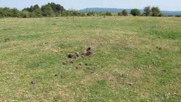 Andasarri 2 tumulua, Limitaciones