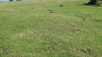 Andasarri 4 tumulua, Limitaciones