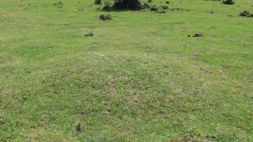 Andasarri 5 tumulua, Limitaciones