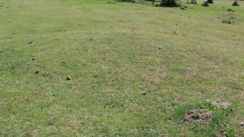 Andasarri 7 tumulua, Limitaciones