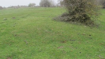 Barrera de Ecala 1 Etxola hondoa, Limitaciones