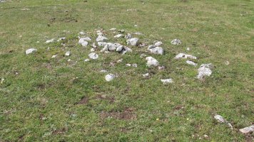 Atauko Mendatea 4 tumulua, Entzia