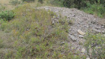 Larras II tumulua 10, Zigoitia