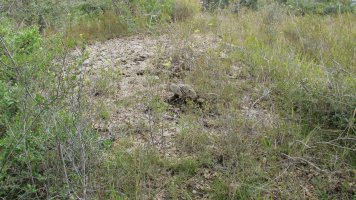 Larras II tumulua 8, Zigoitia