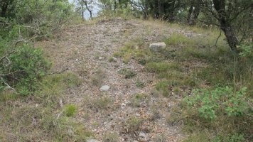 Larras II tumulua 7, Zigoitia