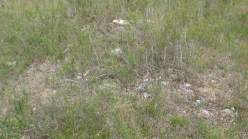 Larras I tumulua 5, Zigoitia