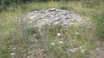 Larras I tumulua 4, Zigoitia