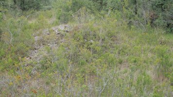 Larras I tumulua 3, Zigoitia