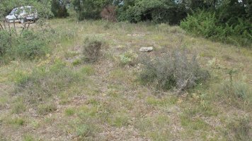 Larras I tumulua 1, Zigoitia