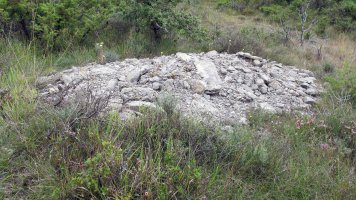 Güenda tumulua 18, Zigoitia