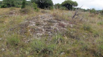 Güenda tumulua 6, Zigoitia